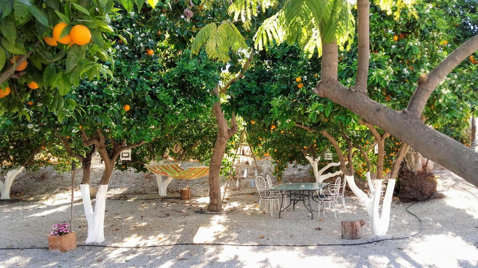 La Joya Del Valle De Ricote (Adults Only) Villanueva de Río Segura Extérieur photo