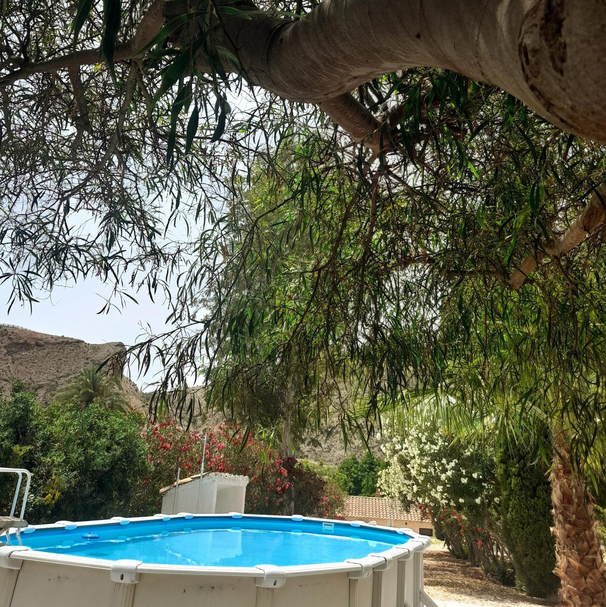 La Joya Del Valle De Ricote (Adults Only) Villanueva de Río Segura Extérieur photo