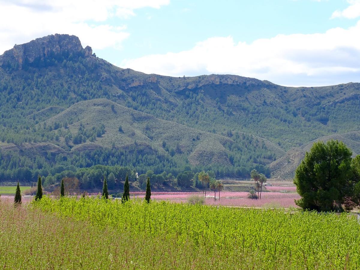 La Joya Del Valle De Ricote (Adults Only) Villanueva de Río Segura Extérieur photo